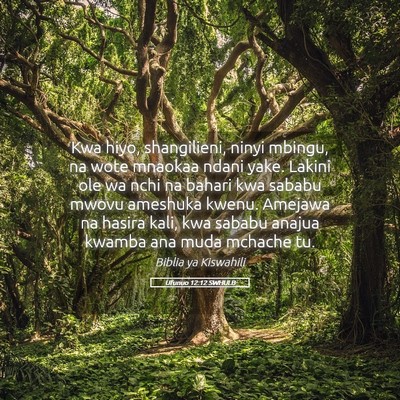 Picture 05 - Ufunuo 12:12 SWHULB - Kwa hiyo, shangilieni, ninyi mbingu, na wote - Bible Verse Picture