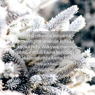Picture 05 - Ufunuo 13:11 SWHULB - Tena nikaona mnyama mwingine anakuja kutoka - Bible Verse Picture