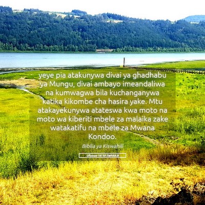 Picture 05 - Ufunuo 14:10 SWHULB - yeye pia atakunywa divai ya ghadhabu ya Mungu, - Bible Verse Picture