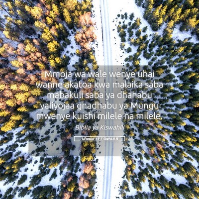 Picture 05 - Ufunuo 15:7 SWHULB - Mmoja wa wale wenye uhai wanne akatoa kwa malaika - Bible Verse Picture