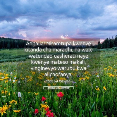 Picture 05 - Ufunuo 2:22 SWHULB - Angalia! Nitamtupa kwenye kitanda cha maradhi, na - Bible Verse Picture