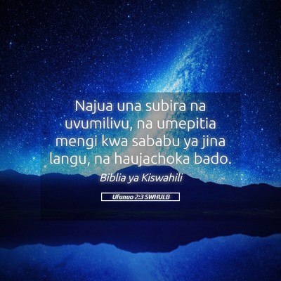 Picture 05 - Ufunuo 2:3 SWHULB - Najua una subira na uvumilivu, na umepitia mengi - Bible Verse Picture
