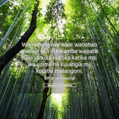 Picture 05 - Ufunuo 22:14 SWHULB - Wamebarikiwa wale waoshao mavazi yao ili kwamba - Bible Verse Picture