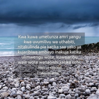 Picture 05 - Ufunuo 3:10 SWHULB - Kwa kuwa umetunza amri yangu kwa uvumilivu wa - Bible Verse Picture