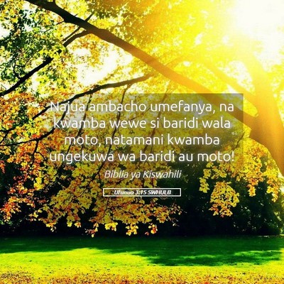 Picture 05 - Ufunuo 3:15 SWHULB - Najua ambacho umefanya, na kwamba wewe si baridi - Bible Verse Picture