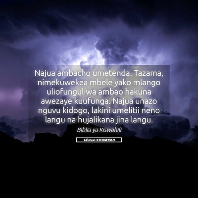 Picture 05 - Ufunuo 3:8 SWHULB - Najua ambacho umetenda. Tazama, nimekuwekea mbele - Bible Verse Picture
