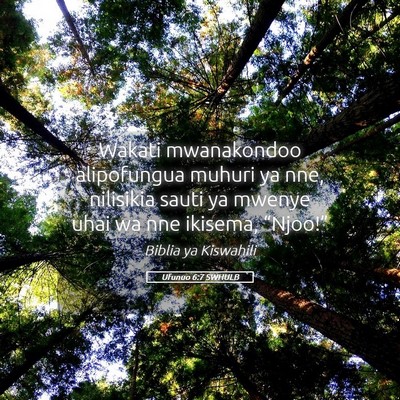 Picture 05 - Ufunuo 6:7 SWHULB - Wakati mwanakondoo alipofungua muhuri ya nne, - Bible Verse Picture