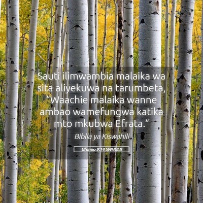 Picture 05 - Ufunuo 9:14 SWHULB - Sauti ilimwambia malaika wa sita aliyekuwa na - Bible Verse Picture