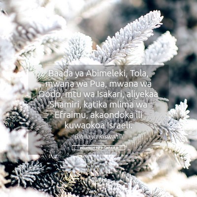 Picture 05 - Waamuzi 10:1 SWHULB - Baada ya Abimeleki, Tola, mwana wa Pua, mwana wa - Bible Verse Picture
