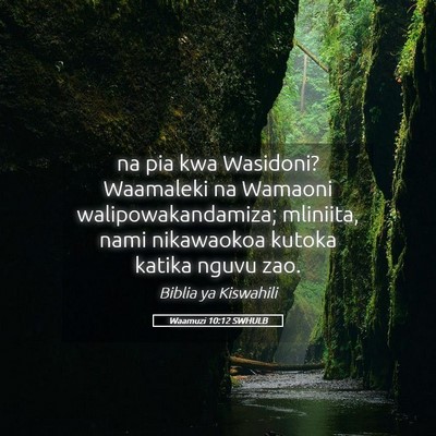 Picture 05 - Waamuzi 10:12 SWHULB - na pia kwa Wasidoni? Waamaleki na Wamaoni - Bible Verse Picture