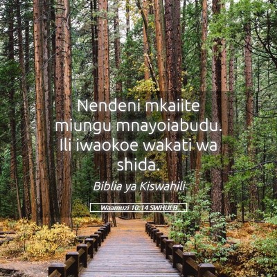 Picture 05 - Waamuzi 10:14 SWHULB - Nendeni mkaiite miungu mnayoiabudu. Ili iwaokoe - Bible Verse Picture