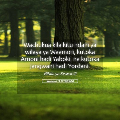 Picture 05 - Waamuzi 11:22 SWHULB - Wachukua kila kitu ndani ya wilaya ya Waamori, - Bible Verse Picture