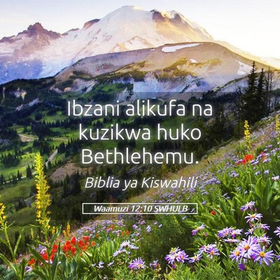 Picture 05 - Waamuzi 12:10 SWHULB - Ibzani alikufa na kuzikwa huko - Bible Verse Picture