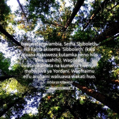 Picture 05 - Waamuzi 12:6 SWHULB - basi watamwambia, Sema Shiboleth. Na kama akisema - Bible Verse Picture
