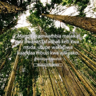 Picture 05 - Waamuzi 13:15 SWHULB - Manoa akamwambia malaika wa Bwana, Tafadhali keti - Bible Verse Picture