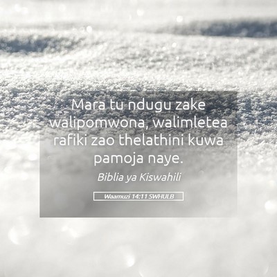 Picture 05 - Waamuzi 14:11 SWHULB - Mara tu ndugu zake walipomwona, walimletea rafiki - Bible Verse Picture