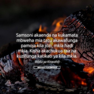Picture 05 - Waamuzi 15:4 SWHULB - Samsoni akaenda na kukamata mbweha mia tatu - Bible Verse Picture