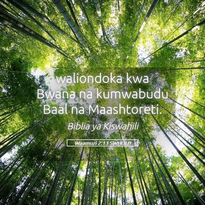 Picture 05 - Waamuzi 2:13 SWHULB - waliondoka kwa Bwana na kumwabudu Baal na - Bible Verse Picture
