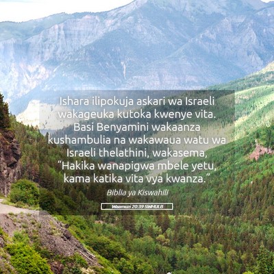 Picture 05 - Waamuzi 20:39 SWHULB - Ishara ilipokuja askari wa Israeli wakageuka - Bible Verse Picture