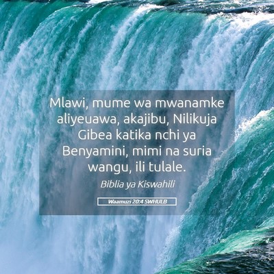 Picture 05 - Waamuzi 20:4 SWHULB - Mlawi, mume wa mwanamke aliyeuawa, akajibu, - Bible Verse Picture