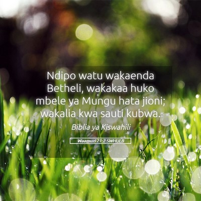 Picture 05 - Waamuzi 21:2 SWHULB - Ndipo watu wakaenda Betheli, wakakaa huko mbele - Bible Verse Picture