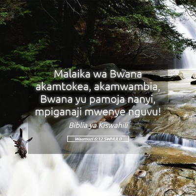 Picture 05 - Waamuzi 6:12 SWHULB - Malaika wa Bwana akamtokea, akamwambia, Bwana yu - Bible Verse Picture