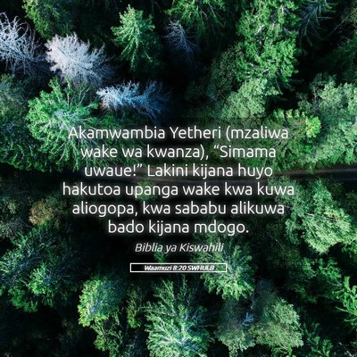 Picture 05 - Waamuzi 8:20 SWHULB - Akamwambia Yetheri (mzaliwa wake wa kwanza), - Bible Verse Picture
