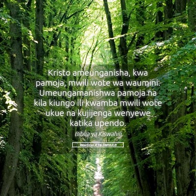 Picture 05 - Waefeso 4:16 SWHULB - Kristo ameunganisha, kwa pamoja, mwili wote wa - Bible Verse Picture