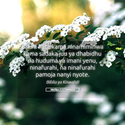 Picture 05 - Wafilipi 2:17 SWHULB - Lakini hata kama ninamiminwa kama sadaka juu ya - Bible Verse Picture