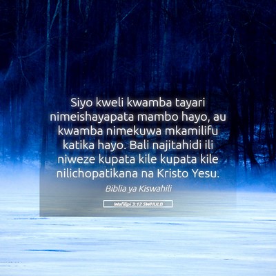 Picture 05 - Wafilipi 3:12 SWHULB - Siyo kweli kwamba tayari nimeishayapata mambo - Bible Verse Picture