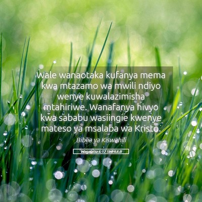 Picture 05 - Wagalatia 6:12 SWHULB - Wale wanaotaka kufanya mema kwa mtazamo wa mwili - Bible Verse Picture