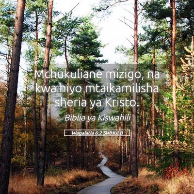 Picture 05 - Wagalatia 6:2 SWHULB - Mchukuliane mizigo, na kwa hiyo mtaikamilisha - Bible Verse Picture