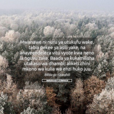 Picture 05 - Wahebrania 1:3 SWHULB - Mwanawe ni nuru ya utukufu wake, tabia pekee ya - Bible Verse Picture