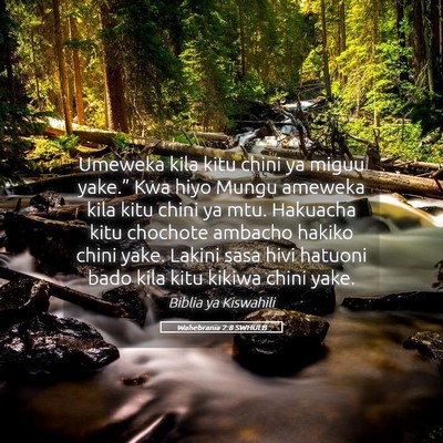 Picture 05 - Wahebrania 2:8 SWHULB - Umeweka kila kitu chini ya miguu yake.” Kwa - Bible Verse Picture
