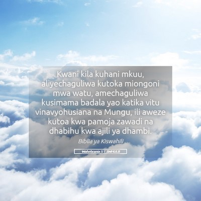 Picture 05 - Wahebrania 5:1 SWHULB - Kwani kila kuhani mkuu, aliyechaguliwa kutoka - Bible Verse Picture