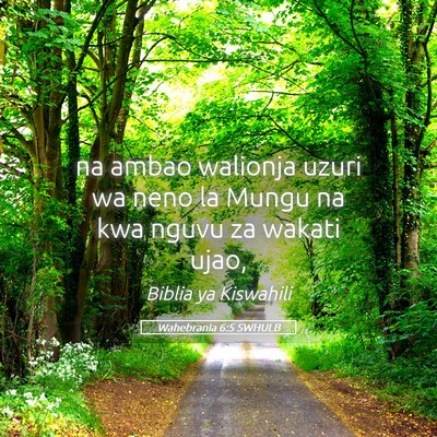 Picture 05 - Wahebrania 6:5 SWHULB - na ambao walionja uzuri wa neno la Mungu na kwa - Bible Verse Picture
