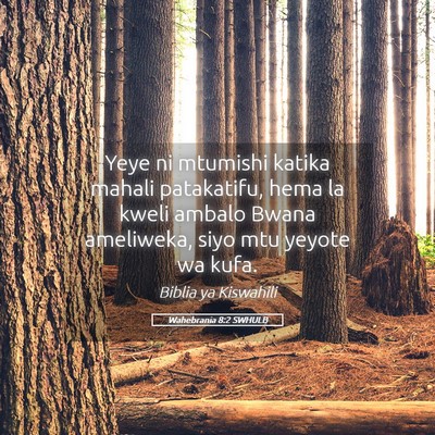 Picture 05 - Wahebrania 8:2 SWHULB - Yeye ni mtumishi katika mahali patakatifu, hema - Bible Verse Picture