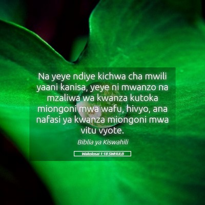 Picture 05 - Wakolosai 1:18 SWHULB - Na yeye ndiye kichwa cha mwili yaani kanisa, yeye - Bible Verse Picture