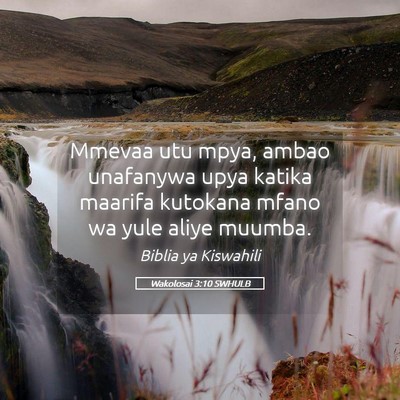Picture 05 - Wakolosai 3:10 SWHULB - Mmevaa utu mpya, ambao unafanywa upya katika - Bible Verse Picture