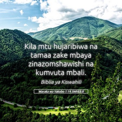 Picture 05 - Waraka wa Yakobo 1:14 SWHULB - Kila mtu hujaribiwa na tamaa zake mbaya - Bible Verse Picture