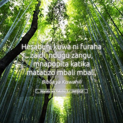 Picture 05 - Waraka wa Yakobo 1:2 SWHULB - Hesabuni kuwa ni furaha zaidi, ndugu zangu, - Bible Verse Picture