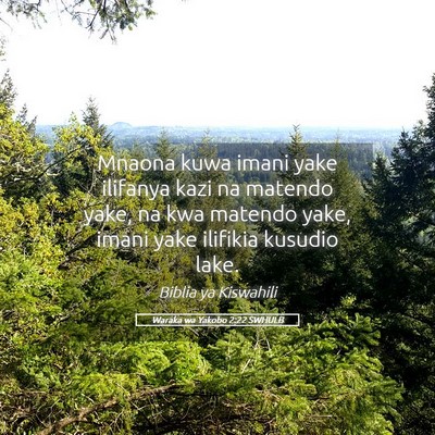 Picture 05 - Waraka wa Yakobo 2:22 SWHULB - Mnaona kuwa imani yake ilifanya kazi na matendo - Bible Verse Picture
