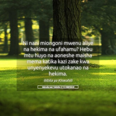 Picture 05 - Waraka wa Yakobo 3:13 SWHULB - Ni nani miongoni mwenu aliye na hekima na - Bible Verse Picture