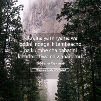 Picture 05 - Waraka wa Yakobo 3:7 SWHULB - Kila aina ya mnyama wa polini, ndege, kitambaacho - Bible Verse Picture