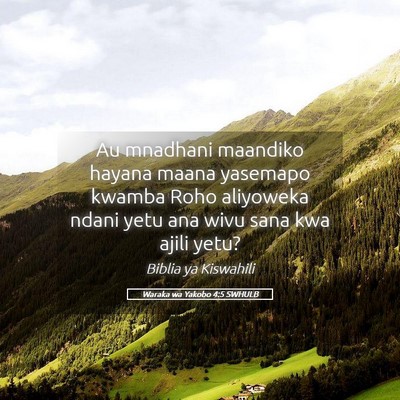 Picture 05 - Waraka wa Yakobo 4:5 SWHULB - Au mnadhani maandiko hayana maana yasemapo kwamba - Bible Verse Picture