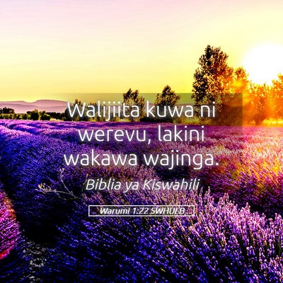 Picture 05 - Warumi 1:22 SWHULB - Walijiita kuwa ni werevu, lakini wakawa - Bible Verse Picture