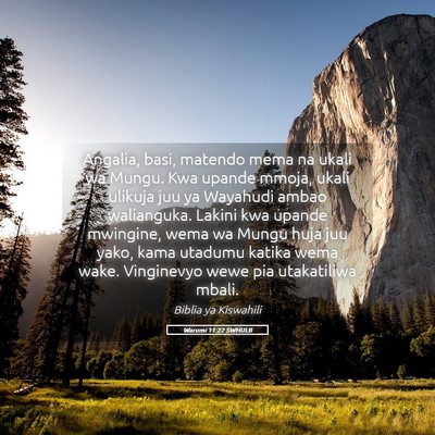 Picture 05 - Warumi 11:22 SWHULB - Angalia, basi, matendo mema na ukali wa Mungu. - Bible Verse Picture