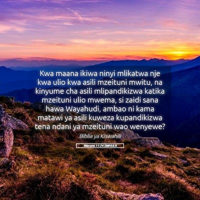 Picture 05 - Warumi 11:24 SWHULB - Kwa maana ikiwa ninyi mlikatwa nje kwa ulio kwa - Bible Verse Picture