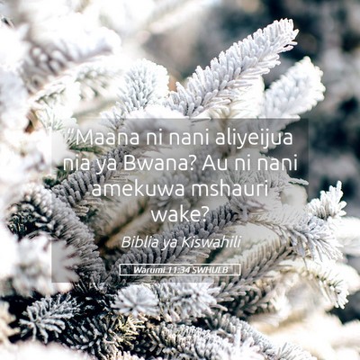Picture 05 - Warumi 11:34 SWHULB - “Maana ni nani aliyeijua nia ya Bwana? Au ni - Bible Verse Picture
