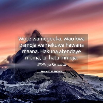 Picture 05 - Warumi 3:12 SWHULB - Wote wamegeuka. Wao kwa pamoja wamekuwa hawana - Bible Verse Picture